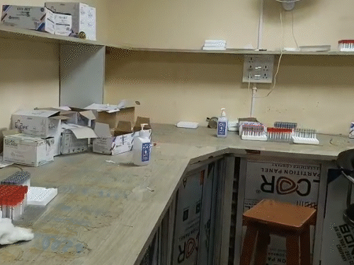 में यूजी छात्रों और डेटा ऑपरेटर के बीच मारपीट लगातार दूसरे दिन भी हंगामा पैथोलॉजी लैब में काम बंद होने से मरीज रहे…