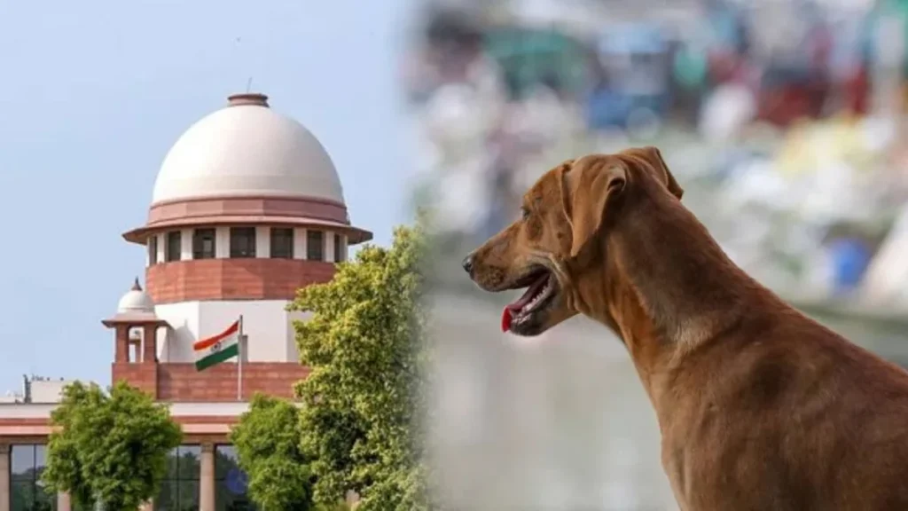 आवारा कुत्तों पर सुप्रीम कोर्ट सख्त, हर जिले में बनेगा एनिमल बर्थ कंट्रोल सेंटर, खतरनाक कुत्तों को मारने तक की अनुमति…