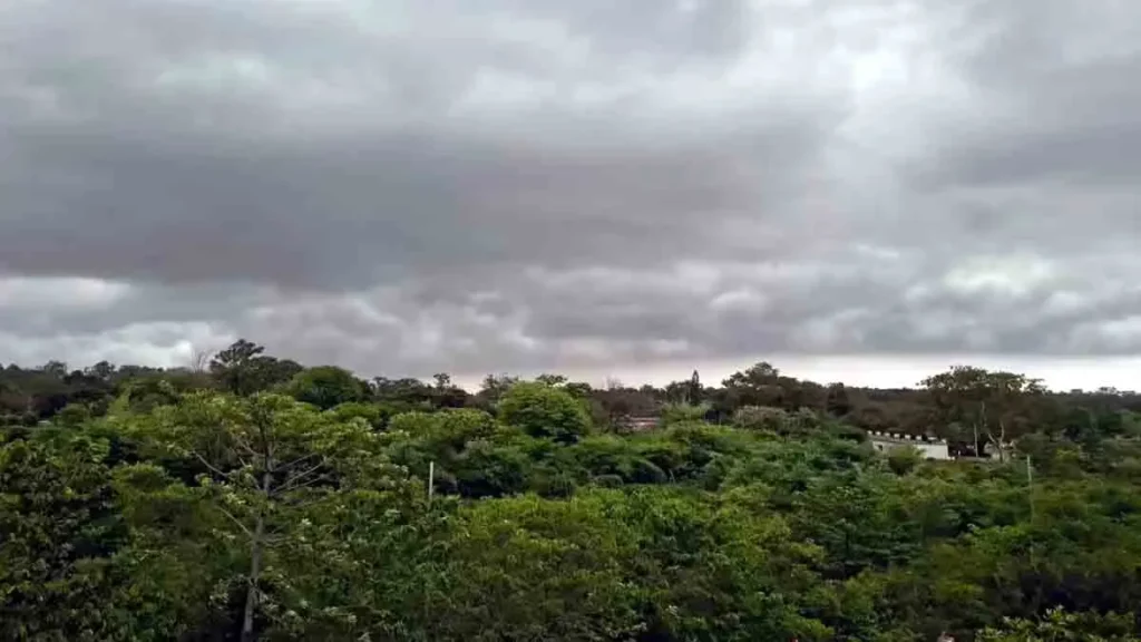 झारखंड में मानसून की दस्तक तय, पन्द्रह जून के बाद मौसम बदलेगा करवट